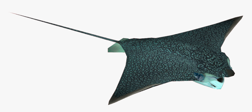 Eagle Ray Dutchdesigns Zt Download Library Wiki - Umbrella, HD Png Download, Free Download