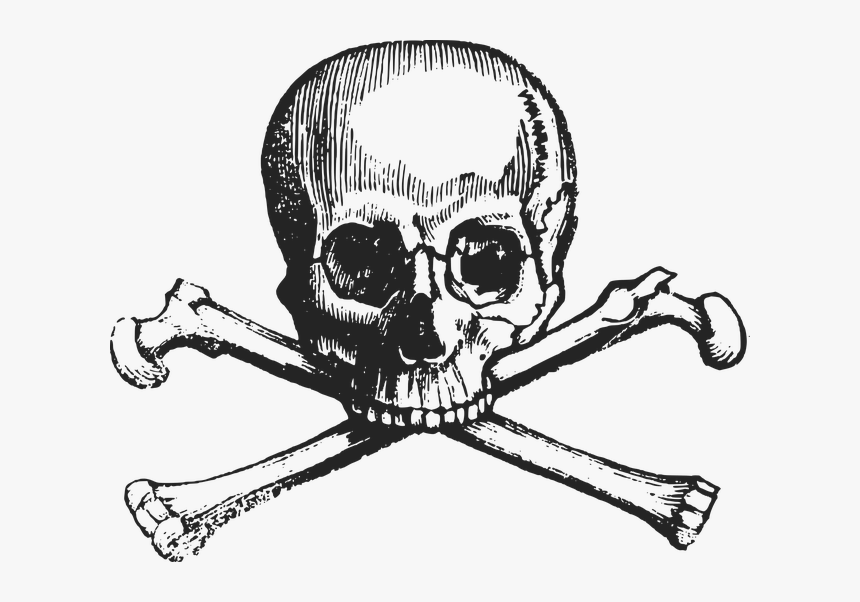 Crossbones, Skull, Death, Danger, Symbol, Dead, Pirate - Skull And Crossbones, HD Png Download, Free Download