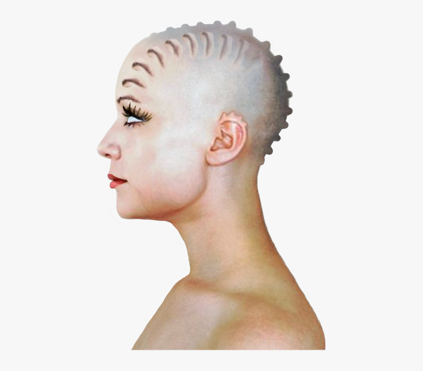 #bald #head #woman - Woman Bald Head, HD Png Download, Free Download