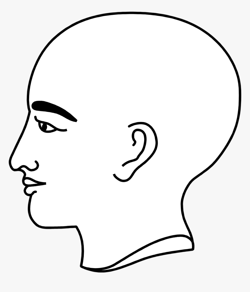 Bald Clipart Bold Man - Person's Profile, HD Png Download, Free Download
