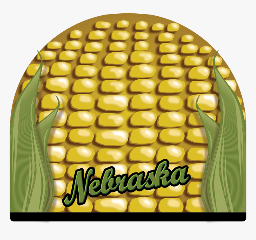 Beanie - "corn Head - Illustration, HD Png Download, Free Download