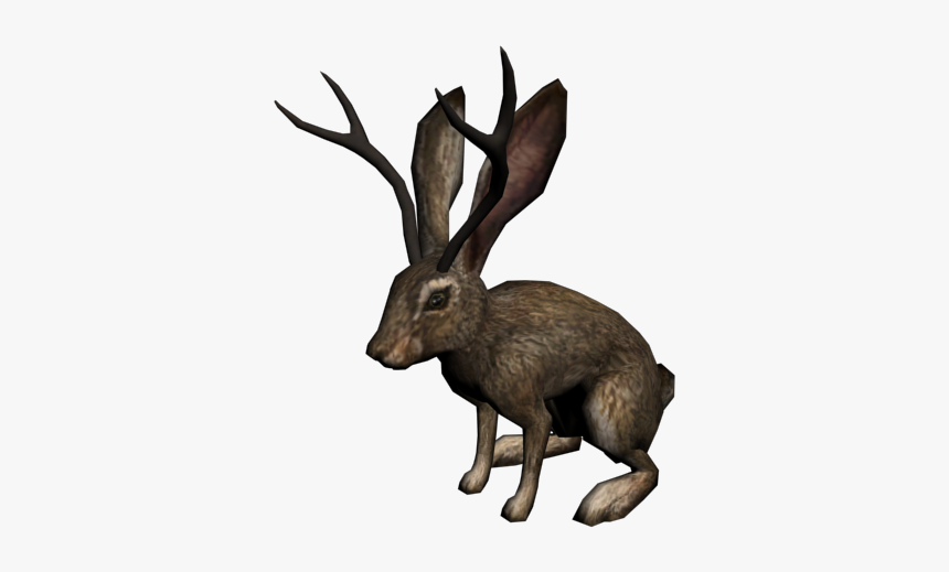 Lentri - Jackalope Png, Transparent Png, Free Download