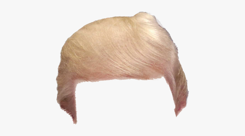 Wig Again Great Snout Make Hair America - Donald Trump Hair Png, Transparent Png, Free Download