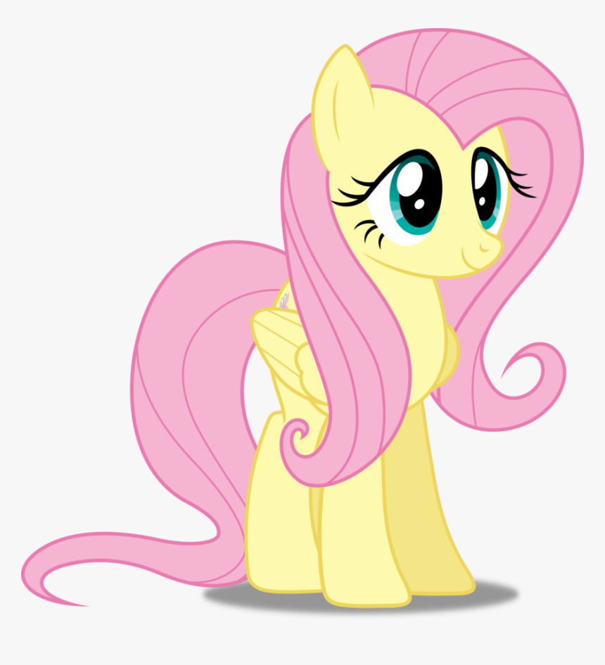 My Little Pony Friendship Is Magic Roleplay Wikia - Fluttershy My Little Pony Characters, HD Png Download, Free Download