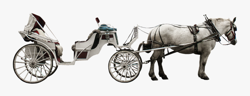 Carriage Png - Horse Drawn Carriage Png, Transparent Png, Free Download