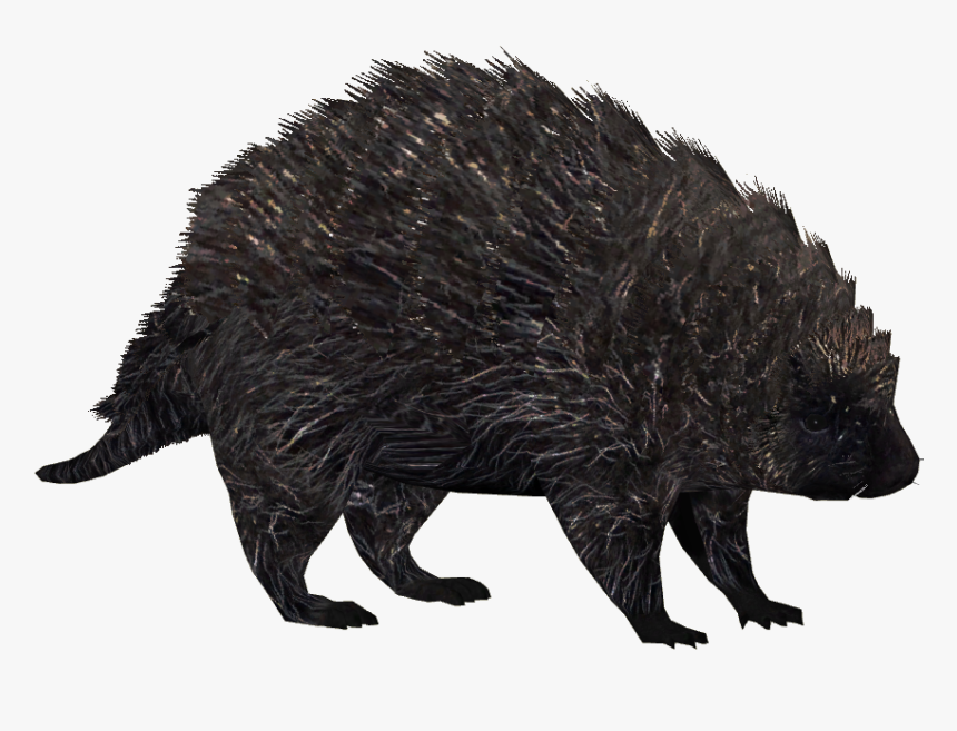 Transparent Figure Png - Porcupine, Png Download, Free Download