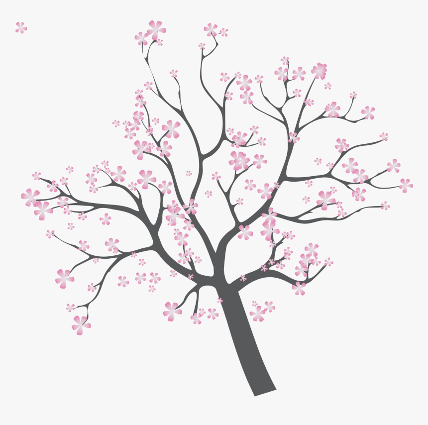 Cherry Tree Branch Png - Cherry Blossom, Transparent Png, Free Download