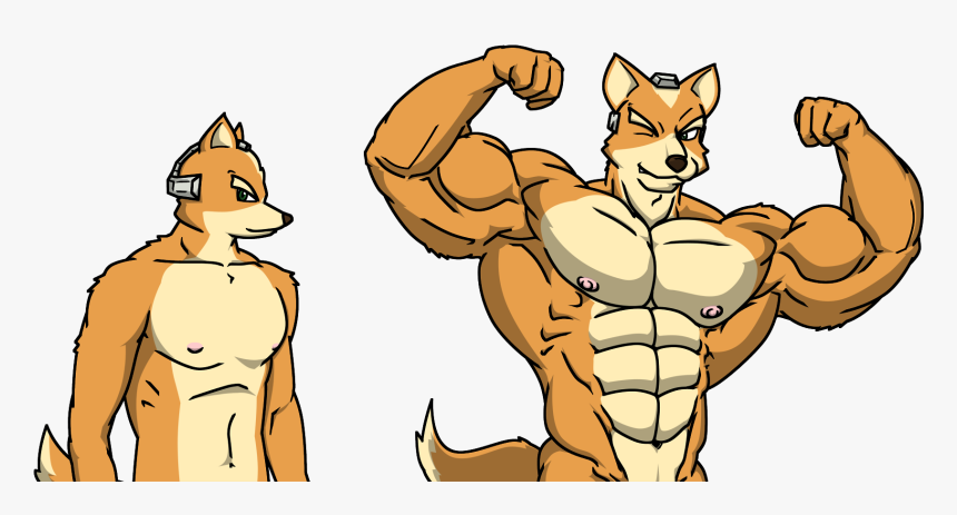 Fox Mccloud Muscle Star Fox Buff , Png Download - Fox Mccloud Muscle, Transparent Png, Free Download