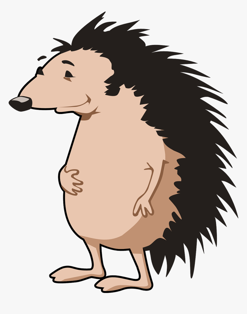 Porcupine Clip Art Free - Porcupine Clipart, HD Png Download, Free Download