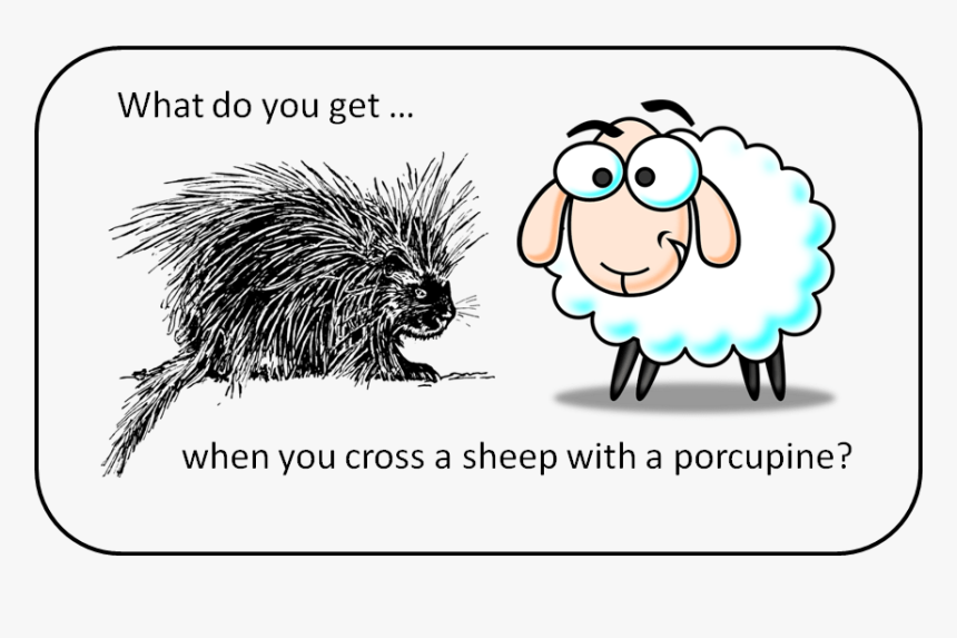 Clipart Sheep, HD Png Download, Free Download