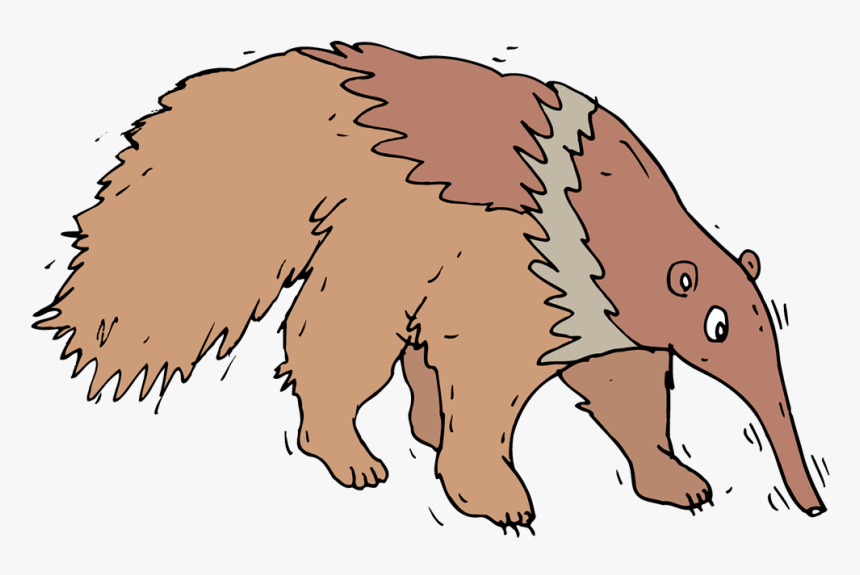 Anteater - Porcupine, HD Png Download, Free Download