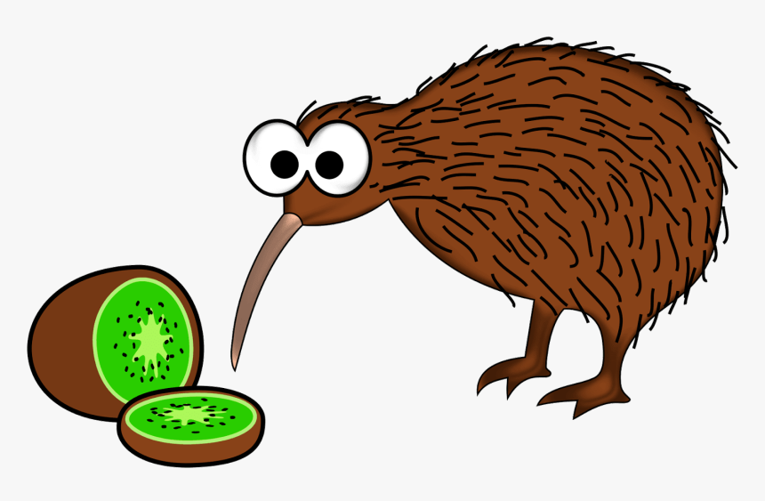 Banner Library Porcupine At Getdrawings Com Free For - Clipart Kiwi Bird, HD Png Download, Free Download