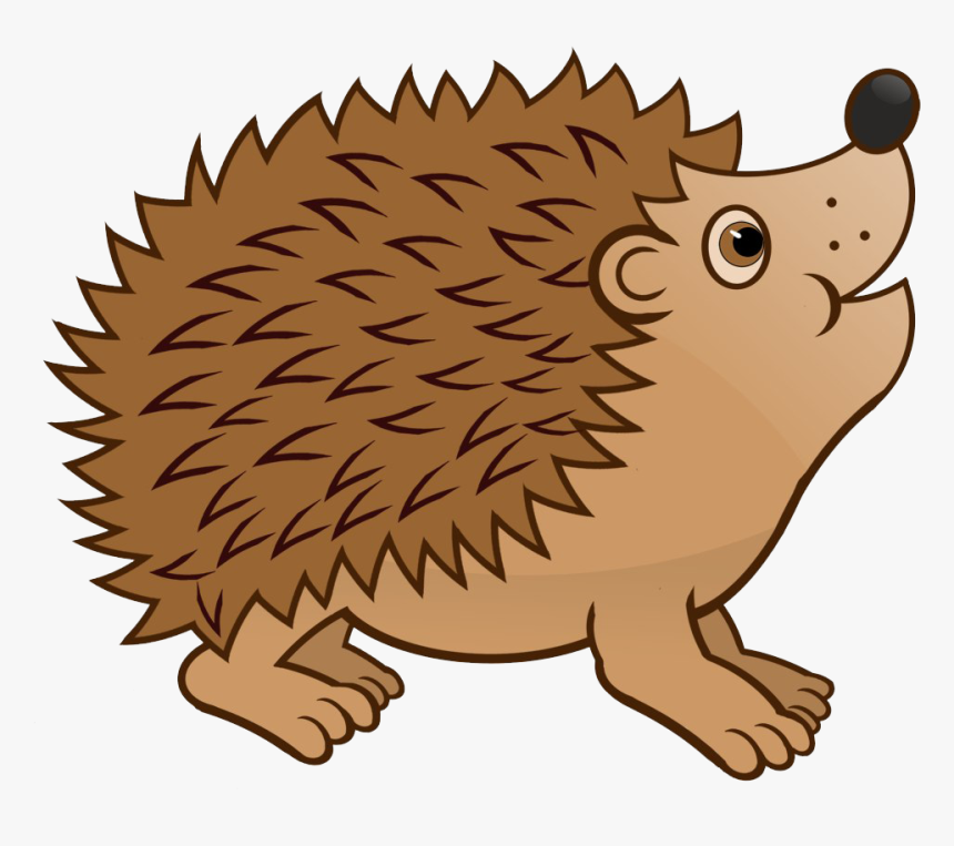 Hedgehog Transparent Image - Hedgehog Clipart Transparent Background, HD Png Download, Free Download
