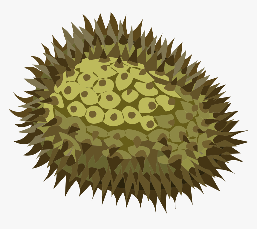 Porcupine-fishes - Durian Clip Art, HD Png Download, Free Download