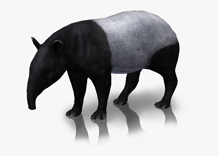 Snap Image Tapir And Porcupine Rio Wiki Fandom On Pinterest - Zoo Tycoon 2 Tapir, HD Png Download, Free Download