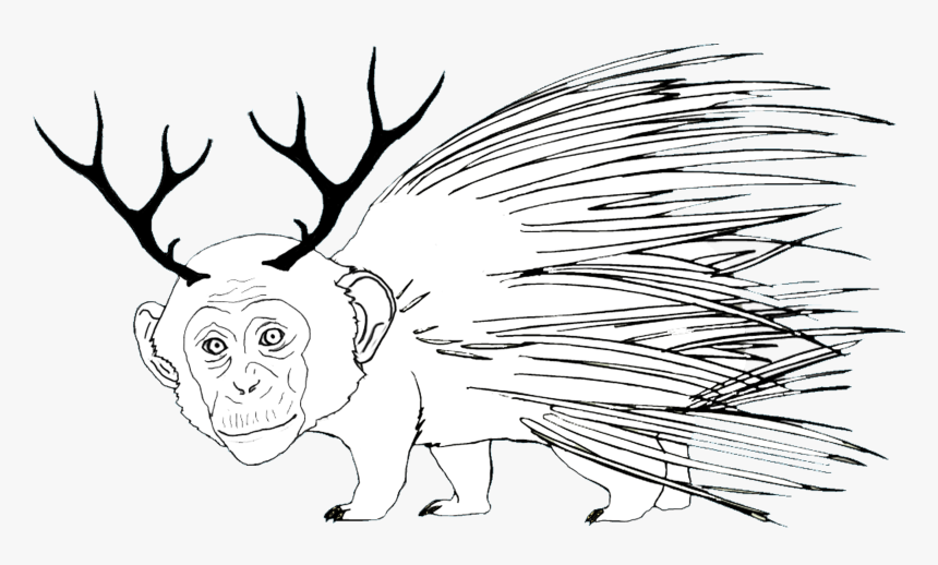 Monkey Porcupine, HD Png Download, Free Download