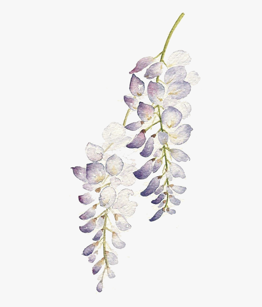 Transparent Background Watercolor Lavender Wreath, HD Png Download, Free Download