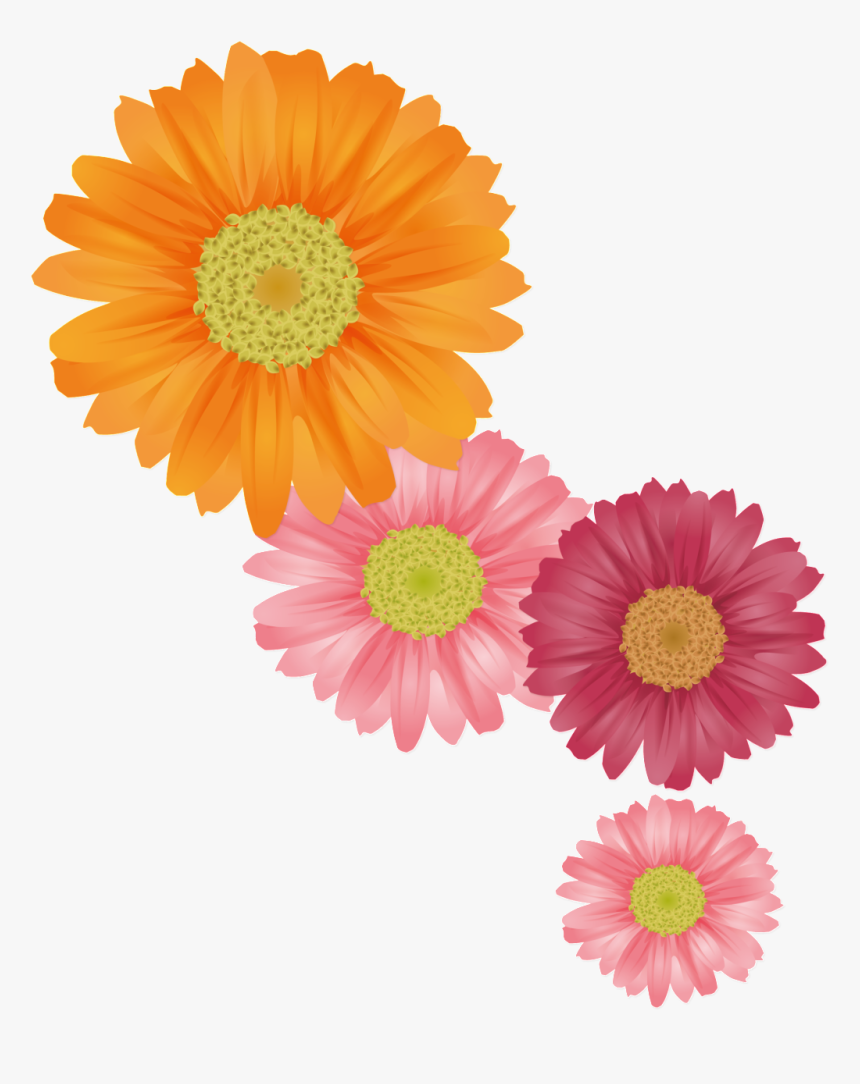 Fresh Orange Hand Painted Chrysanthemum Decorative - Summer Flower Vector, HD Png Download, Free Download