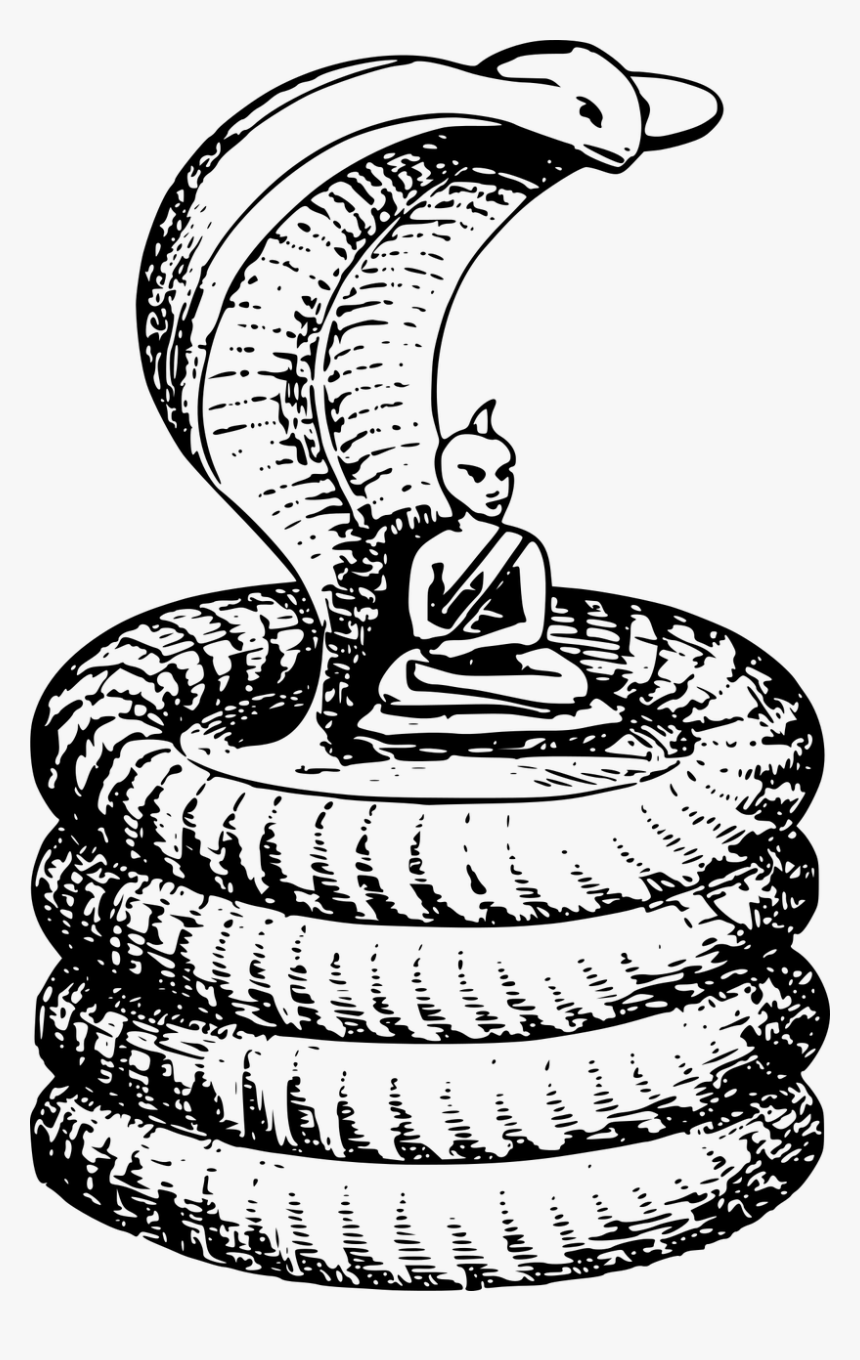 Buddha Cobra Reptile Sage Snake Png Image, Transparent Png, Free Download