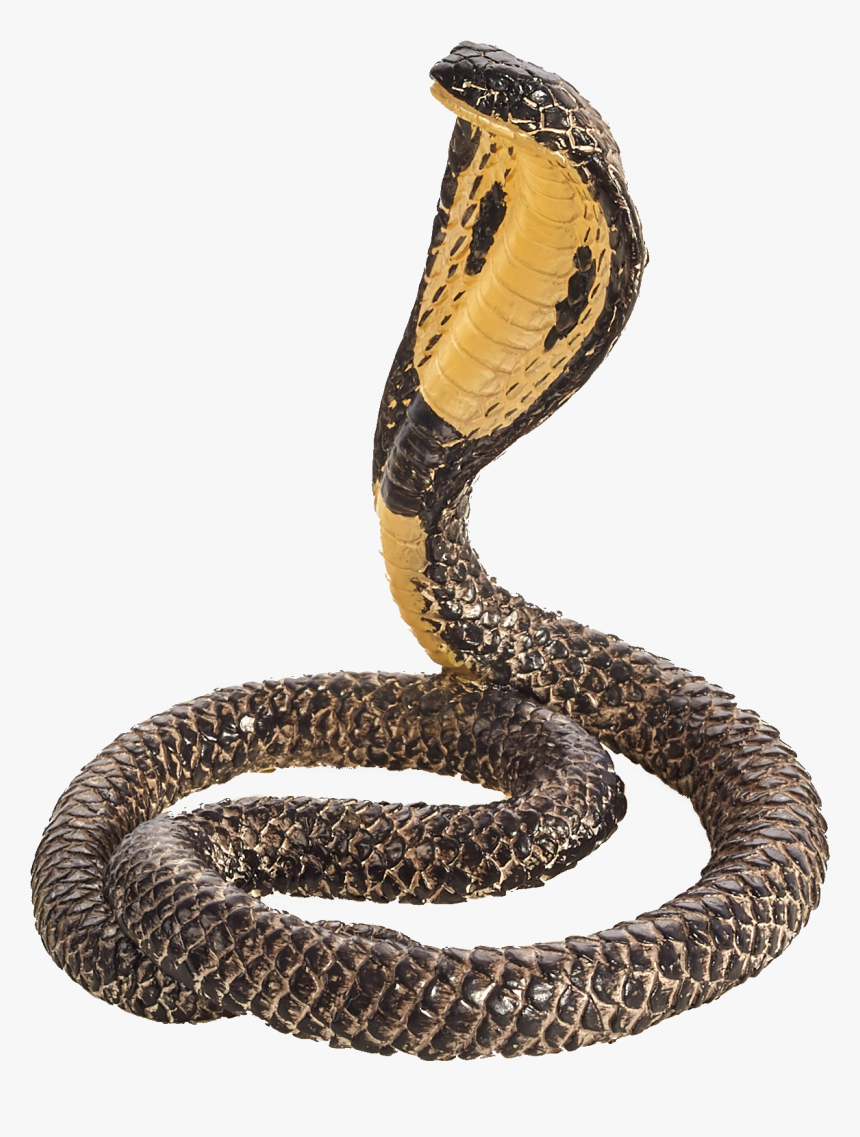 King Cobra, HD Png Download, Free Download