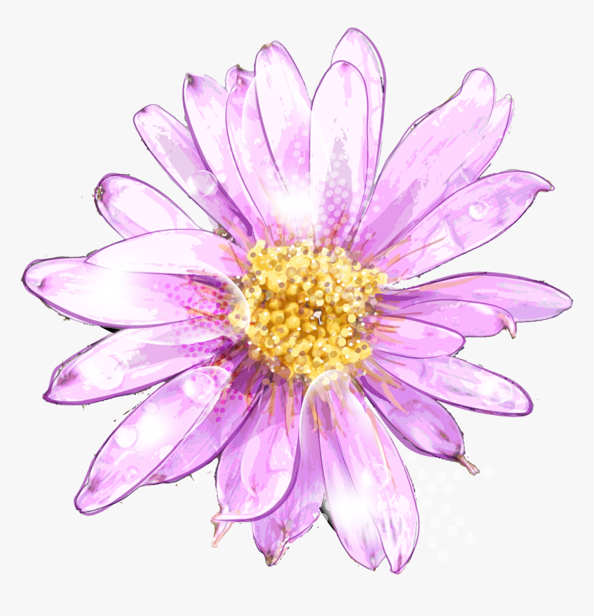 Ume Blossom Clipart Purple Chrysanthemum - Watercolor Painting, HD Png Download, Free Download