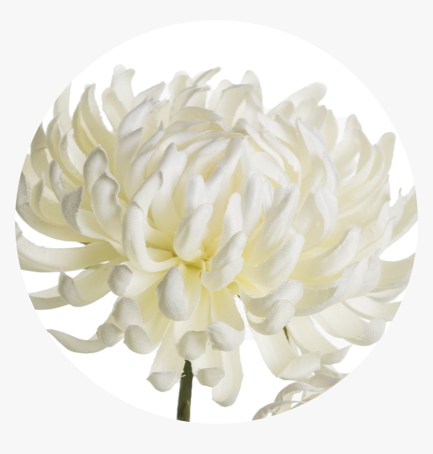 Artificial Flower, HD Png Download, Free Download