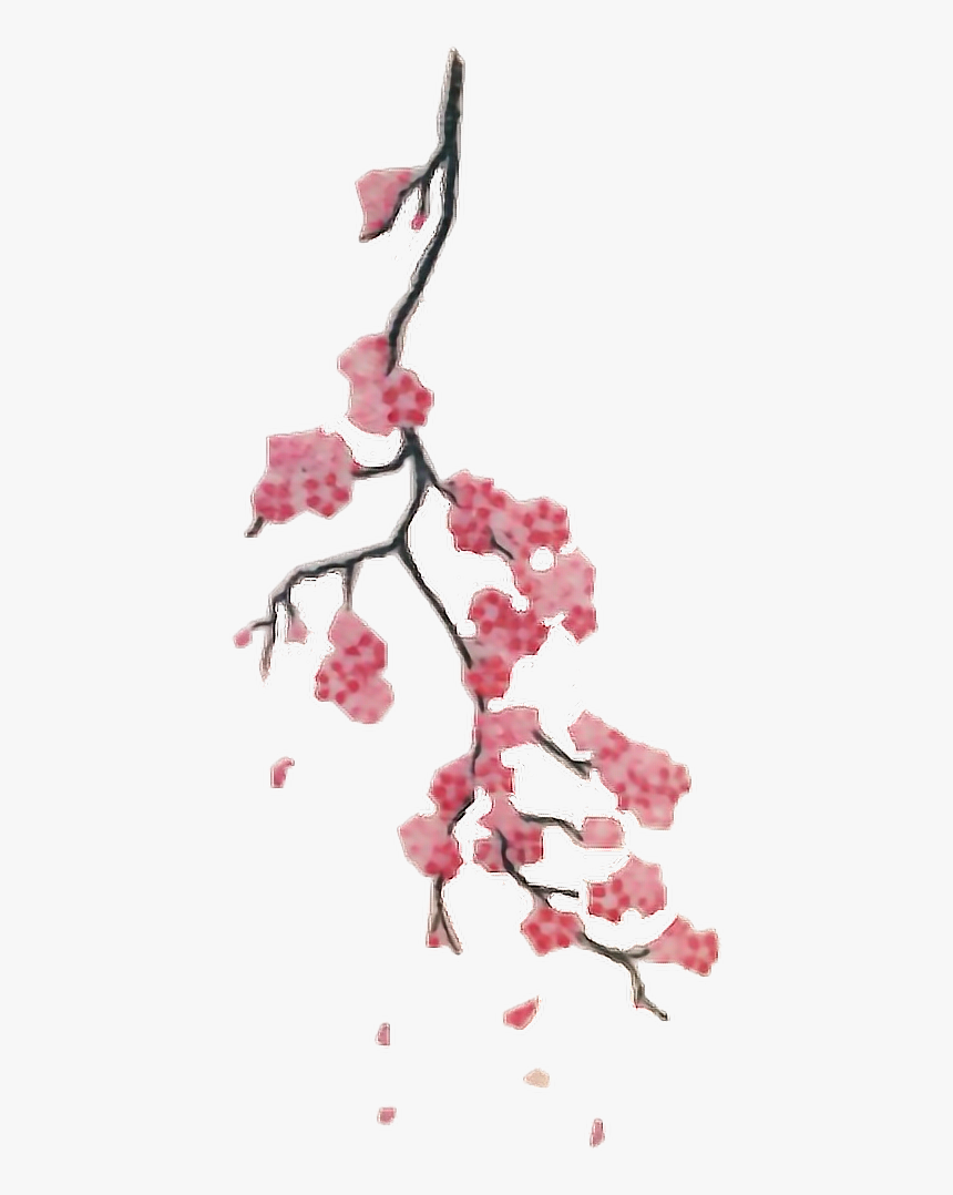 #interesting #art #tattoo #png #people #aesthetic #freetoedit - Cherry Blossom Branch Tattoo, Transparent Png, Free Download