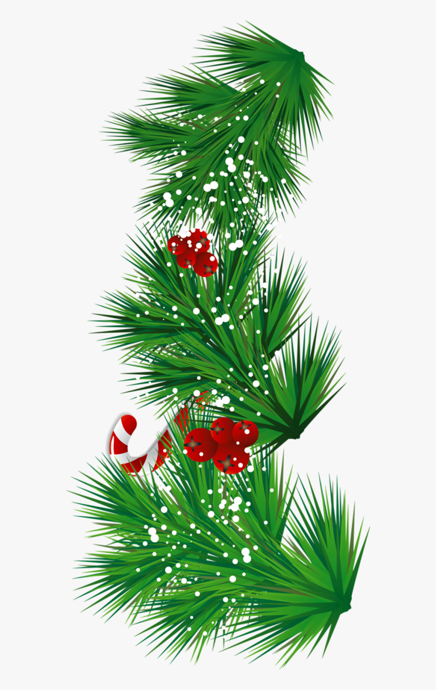 Pine Branch Clip Art - Transparent Pine Branch Png, Png Download, Free Download