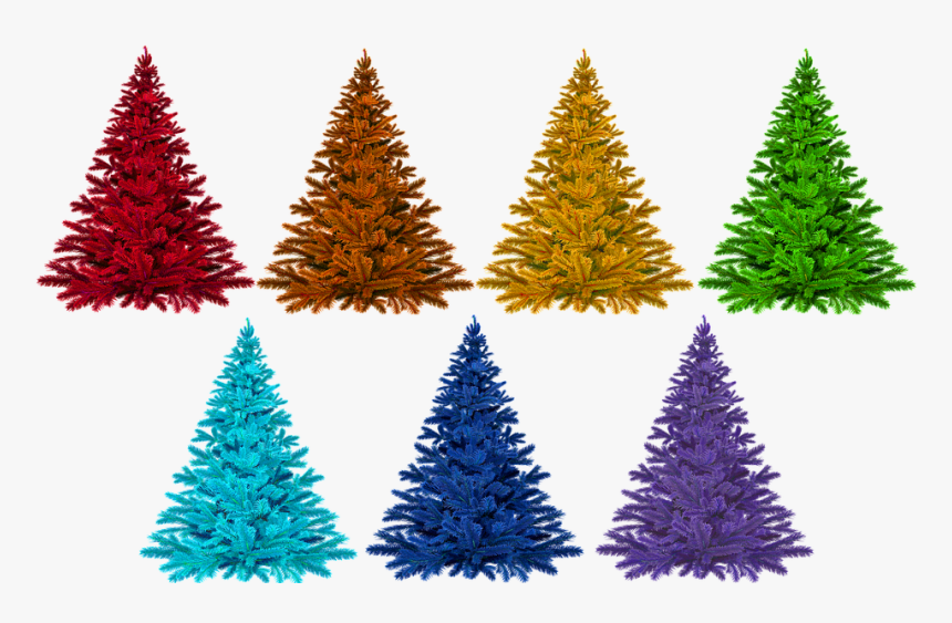 Christmas, Colorful, Rainbow, Isolated, Christmas Tree - Arbol De Navidad, HD Png Download, Free Download