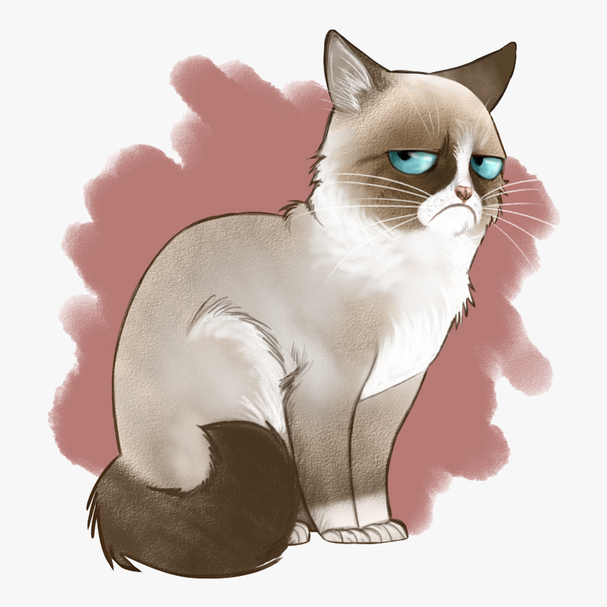 Angry Cat Png Image Background - Grumpy Cat Wallpaper Iphone, Transparent Png, Free Download