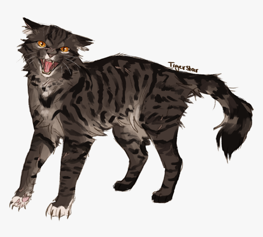 Angry Man - Warrior Cats Angry Cat, HD Png Download, Free Download