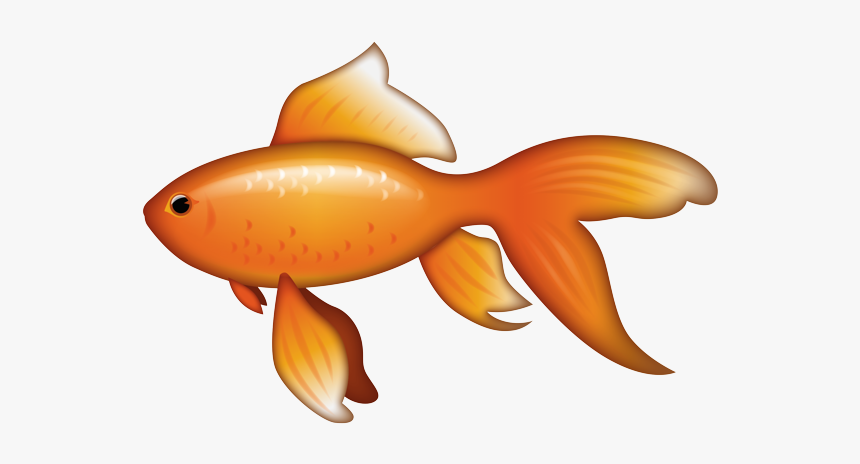 Goldfish, HD Png Download, Free Download