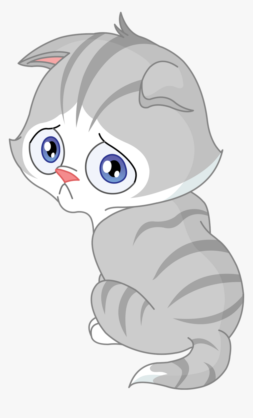 Sad Cat Png - Sad Cat Clipart, Transparent Png, Free Download