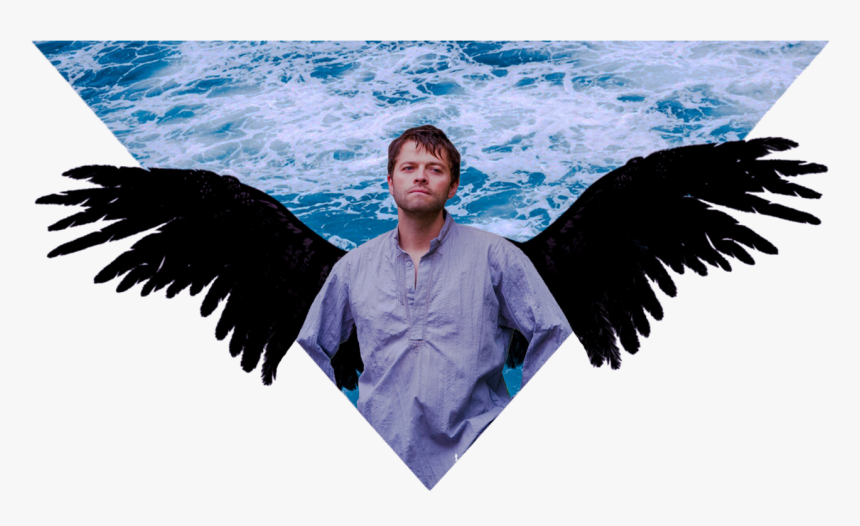 Castiel Png Headers - Fallen Angel Wings Transparent, Png Download, Free Download