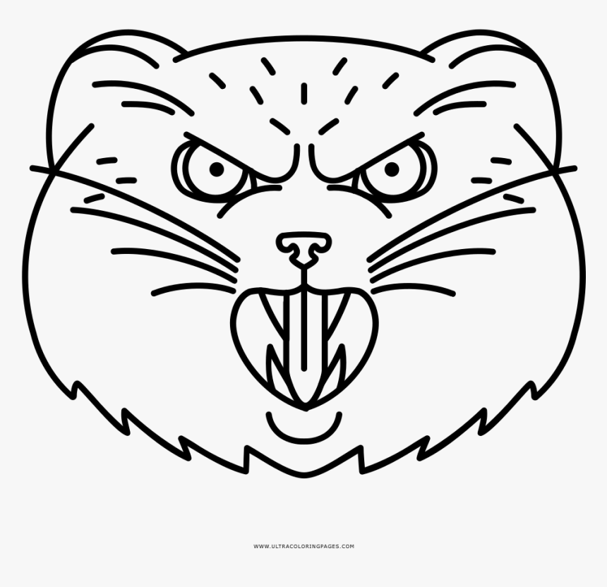 Angry Pallas Cat Coloring Page - Line Art, HD Png Download, Free Download