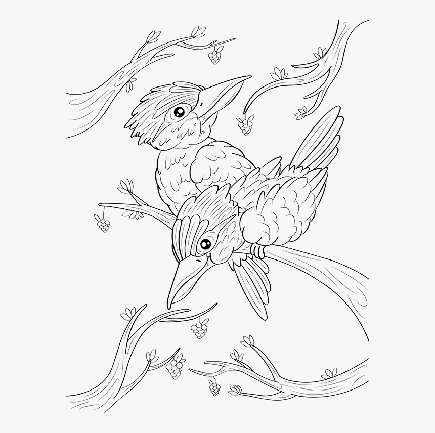 Kookaburra Coloring Page - Sketch, HD Png Download, Free Download