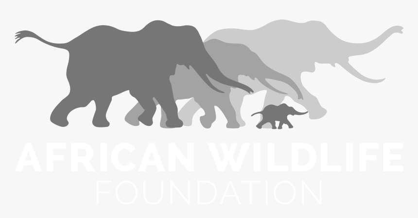 Mammoth Vector Black - African Wildlife Foundation Charities, HD Png Download, Free Download