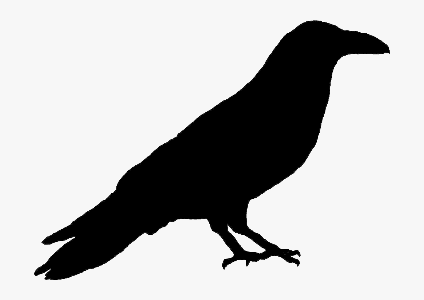 Primitive Crow Silhouette - Raven Clipart, HD Png Download, Free Download