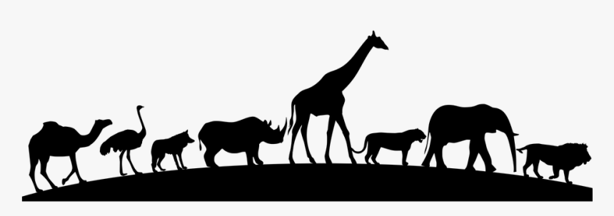 Animal, Animal Line Up, Silhouettes, Lion, Elephant - Animal Line Up Silhouette, HD Png Download, Free Download