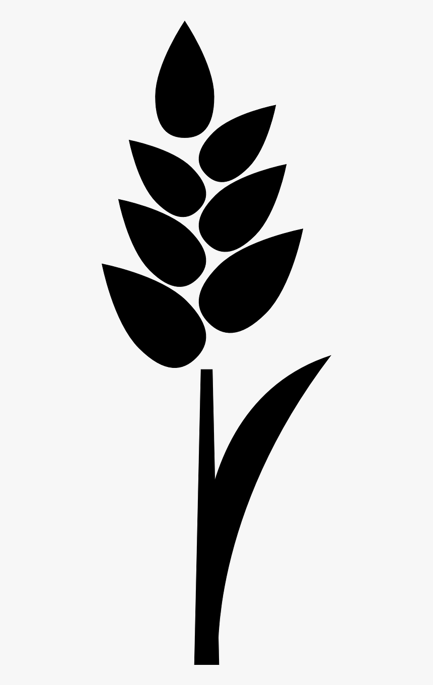 Grain Silhouette Png, Transparent Png, Free Download