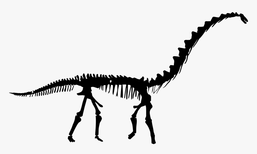 Dinosaur Skeleton Silhouette , Transparent Cartoons - Black Dinosaur Skeleton, HD Png Download, Free Download