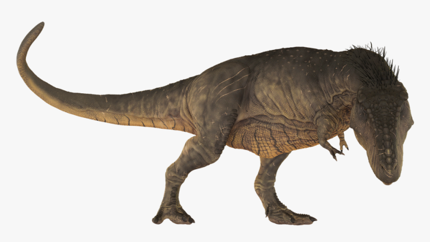 Dinosaur, Tirannosaurus, Extinct, Dino, Animals, T-rex - Dino Plaatjes, HD Png Download, Free Download