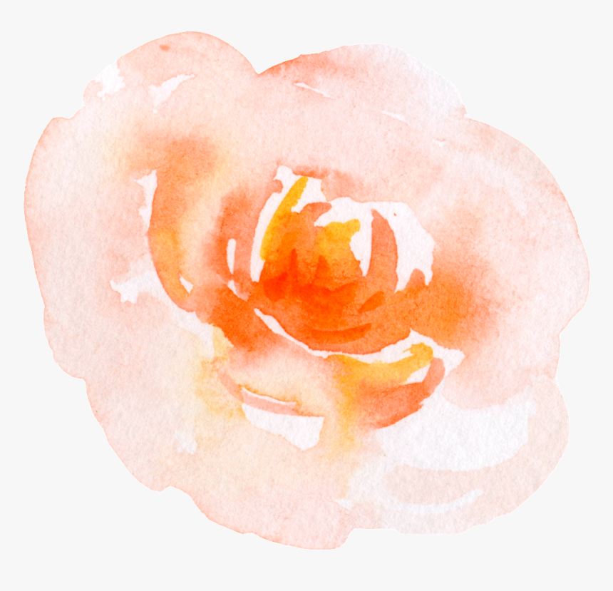 This Graphics Is Yellow Water Flower Cartoon Transparent - Evergreen Rose, HD Png Download, Free Download