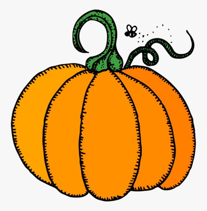 Harvest Pumpkin Png - Pumpkin Clipart, Transparent Png, Free Download