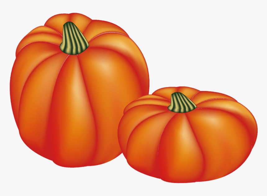 Pumpkin, Mesh, Thanksgiving, Halloween - Calabaza De Accion De Gracias, HD Png Download, Free Download