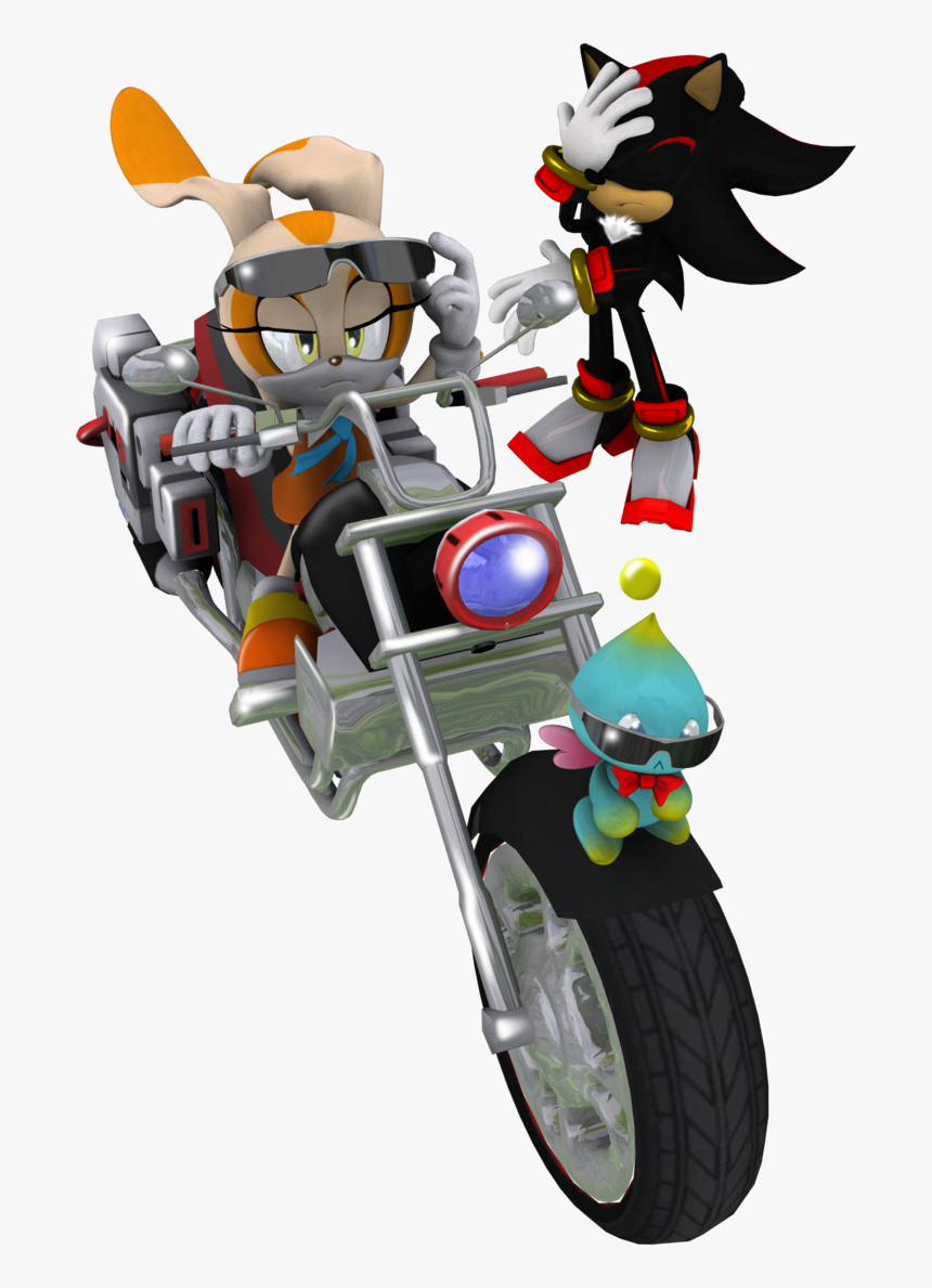 Transparent Face Palm Png - Shadow The Hedgehog Biker, Png Download, Free Download