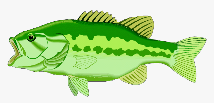 Lake Fish Clipart, Explore Pictures - Lake Fish Png Clipart, Transparent Png, Free Download