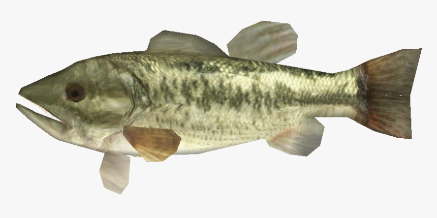 Largemouthbasslego - Largemouth Bass, HD Png Download, Free Download