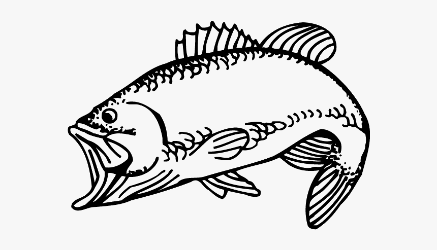 Largemouth Bass Rod Decal, HD Png Download, Free Download