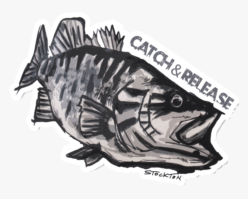 Matthew Stockton Smallmouth Bass Sticker - Bass, HD Png Download, Free Download